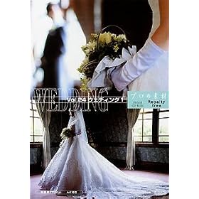�v���̑f�� Vol.24 �E�F�f�B���O 1