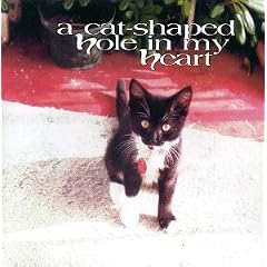 Cat-Shaped Hole in My Heart