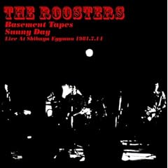 THE BASEMENT TAPES SUNNY DAY LIVE AT �a�JEGGMAN(���W���P�b�g�d�l)