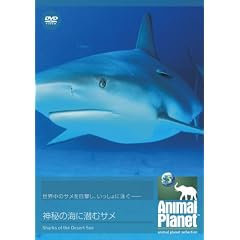�A�j�}���E�v���l�b�g �_��̊C�ɐ��ރT�� [DVD]