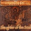 Slaughter of the Soul (Reis)