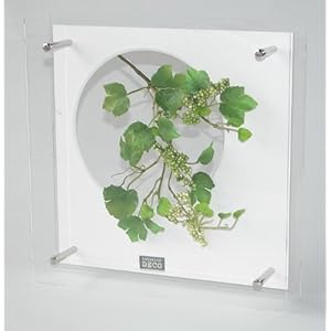 【クリックで詳細表示】《フラワーフレーム》HEARTFUL PLANTS 0135(ベリー)