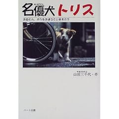 【クリックで詳細表示】名優犬トリス―お母さん、ボクをおぼえていますか？ (ドキュメンタル童話・犬シリーズ) [単行本]