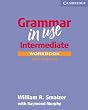 Grammar in Use Workbook with Answers