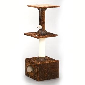 �L���b�g�����h �u���E�� CLD-100LB-BR 31298