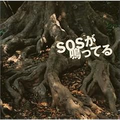 SOS�����Ă�