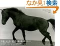 Horse Whisper�\���{�ɐ�����n����