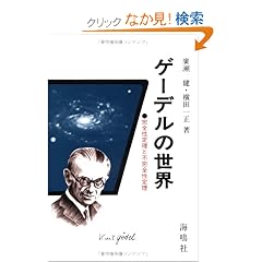 �Q�[�f���̐��E�\���S���藝�ƕs���S���藝