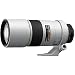 Nikon Ai AF-S Nikkor ED 300mm F4D (IF) ���C�g�O���[