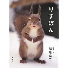 �肷�ڂ�