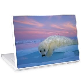 �m�[�g�p�\�R���p�X�L���V�[���yGELASKINS�z�yWhitecoat Harp Seal�z�y�����񂹔[��3�T�ԑO��z
