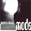 WHITE ROSE