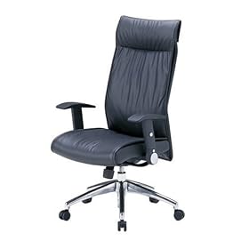 �T�����T�v���C OA�`�F�A SNC-L8