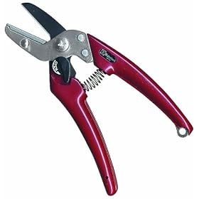 �T�{�e�� ���f�B�[�X������(��������^�C�v) EX-8