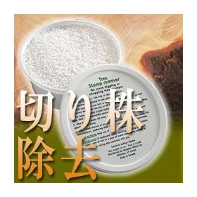 �؂芔�����y�X�^���v�E�A�E�g2�g�@bb7569�z
