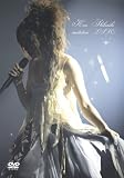 [DVD]柴咲コウ 柴咲コウ プレミアム・ファーストライブ~invitation~ [DVD]