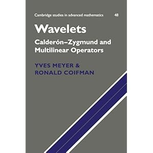 【クリックで詳細表示】Wavelets： Calder-n-Zygmund and Multilinear Operators (Cambridge Studies in Advanced Mathematics) [ペーパーバック]