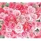 T.M.Revolution  (CD album&New works)