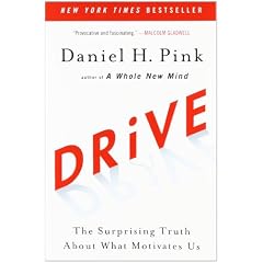 Drive: The Surprising Truth About What Motivates Us