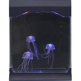 AQUAPICT