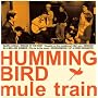 Humming bird