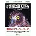 EP-WING CD-ROM�� �V�҉p�a���p�厫�T