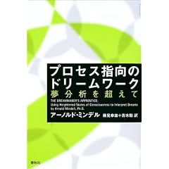 �v���Z�X�w���̃h���[�����[�N�\�����͂𒴂���