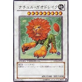 �V�Y���J�[�h �y �i�`�����E�K�I�h���C�N �z DT04-JP038-SR �s�f���G���^�[�~�i��-�����_�����t