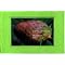 My Favorite Photographer "吐����"
