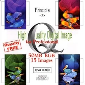 High Quality Digital Image for Professional Principle <1>
