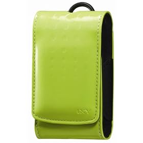 CANON �\�t�g�P�[�X IXC-450GR(�O���[��)