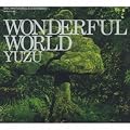 WONDERFUL WORLD(��������)(DVD�t)