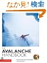 The Avalanche Handbook
