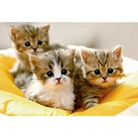 【クリックでお店のこの商品のページへ】パズルの達人 450ピース だっこしてにゃ～ 08-512