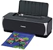 Canon PIXUS (�s�N�T�X) iP2500