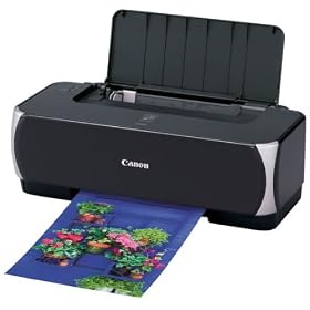 Canon PIXUS (�s�N�T�X) iP2500