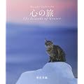 �S�̗� yoshitaka masumi