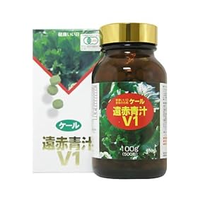 ���Ԑ` V1 500�� �r������