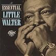 Essential Little Walter