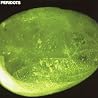 PERIDOTSのアルバムの画像