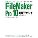 �֐��E�X�N���v�g���悭�킩����p�I���W FileMaker Pro 10 ���H�e�N�j�b�N