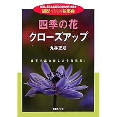 �l�G�̉ԃN���[�Y�A�b�v�\�g�߂Ɍ����鑐�Ԃ̖��͂������o���B�e100�Ԏ��T