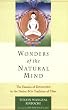 Wonders of the Natural Mind: The Essence of Dzogchen in the Native Bon Tradition of Tibet