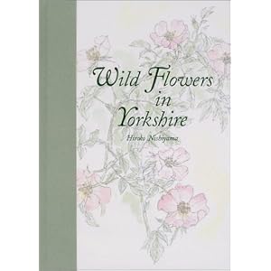 Wild Flowers in Yorkshire�\�p�����[�N�V���[ ��̉Ԃ���