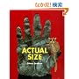 Actual Size