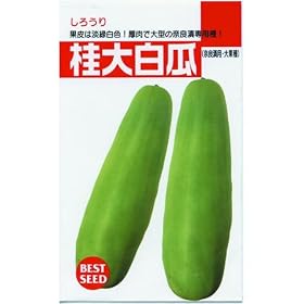 ��^�̓ޗǒА�p��!�j�唒�Z(��ʎ�)�@����:2.5ml