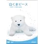 �����܃s�[�X ~���{���E�l�H�M��̑S�L�^~ [DVD]