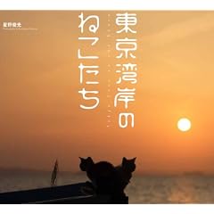 �����p�݂̂˂�����