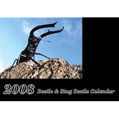 2008�����J�����_�[