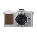 OLYMPUS �}�C�N����� PEN E-P2 �p���P�[�L�L�b�g �V���o�[ E-P2PKIT-SLV